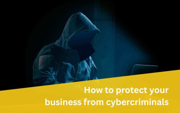 How to Protect Your Business from Cybercriminals