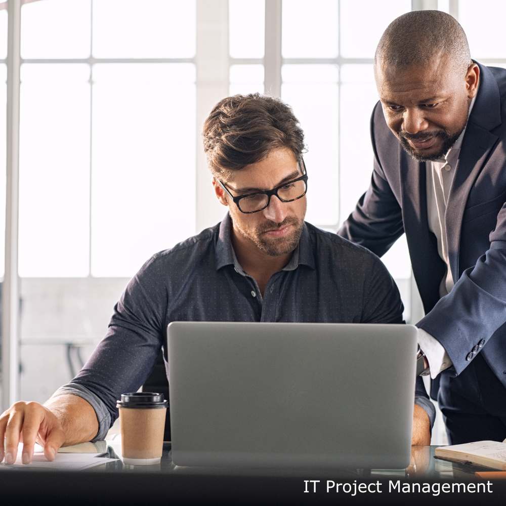 IT Project Management
